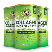 Load image into Gallery viewer, Great Lakes Collagen &lt;br&gt; Hydrolysate 454gr
